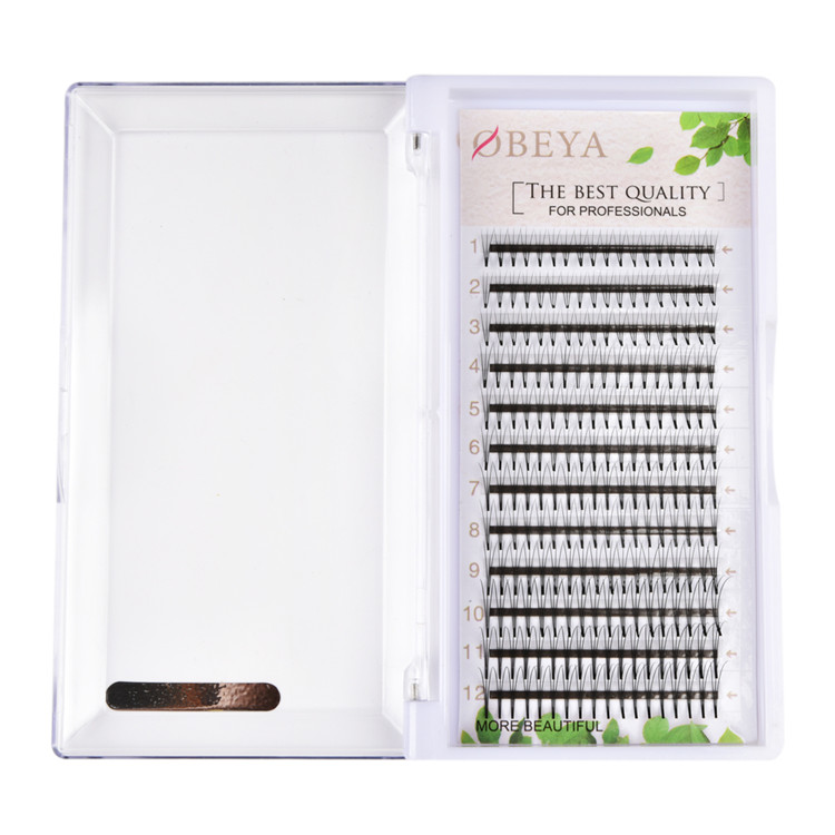 Professional Eyelash Supply 3D Premade Fans Eyelash Extensions Wholesale Price FM035 